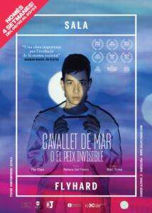 CAVALLET DE MAR a Sala Flyhard del 6/2 al 3/3