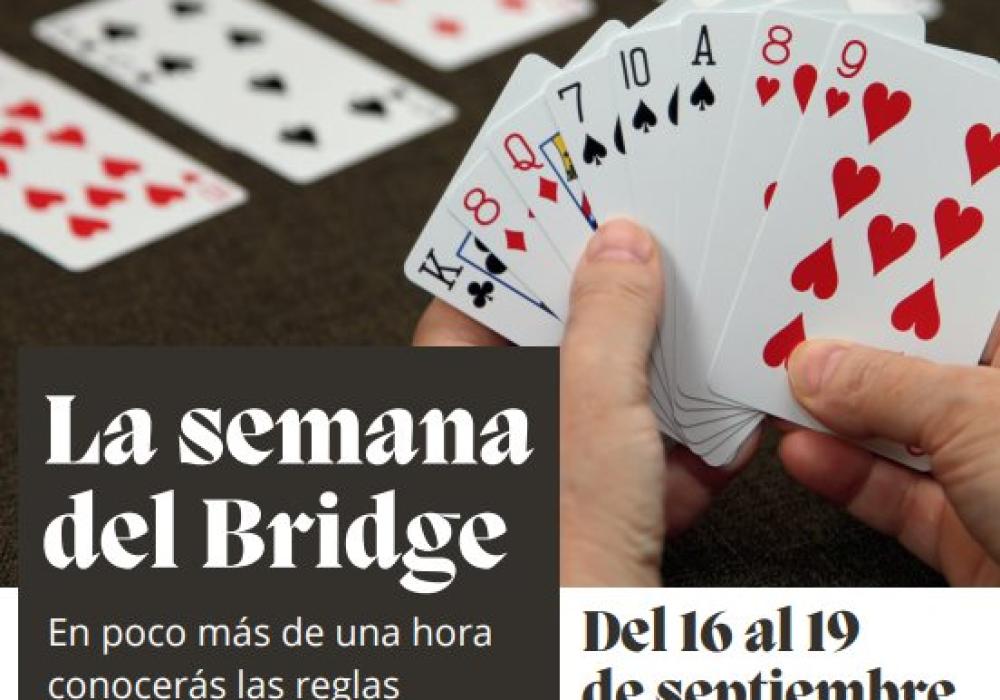 semana del brige